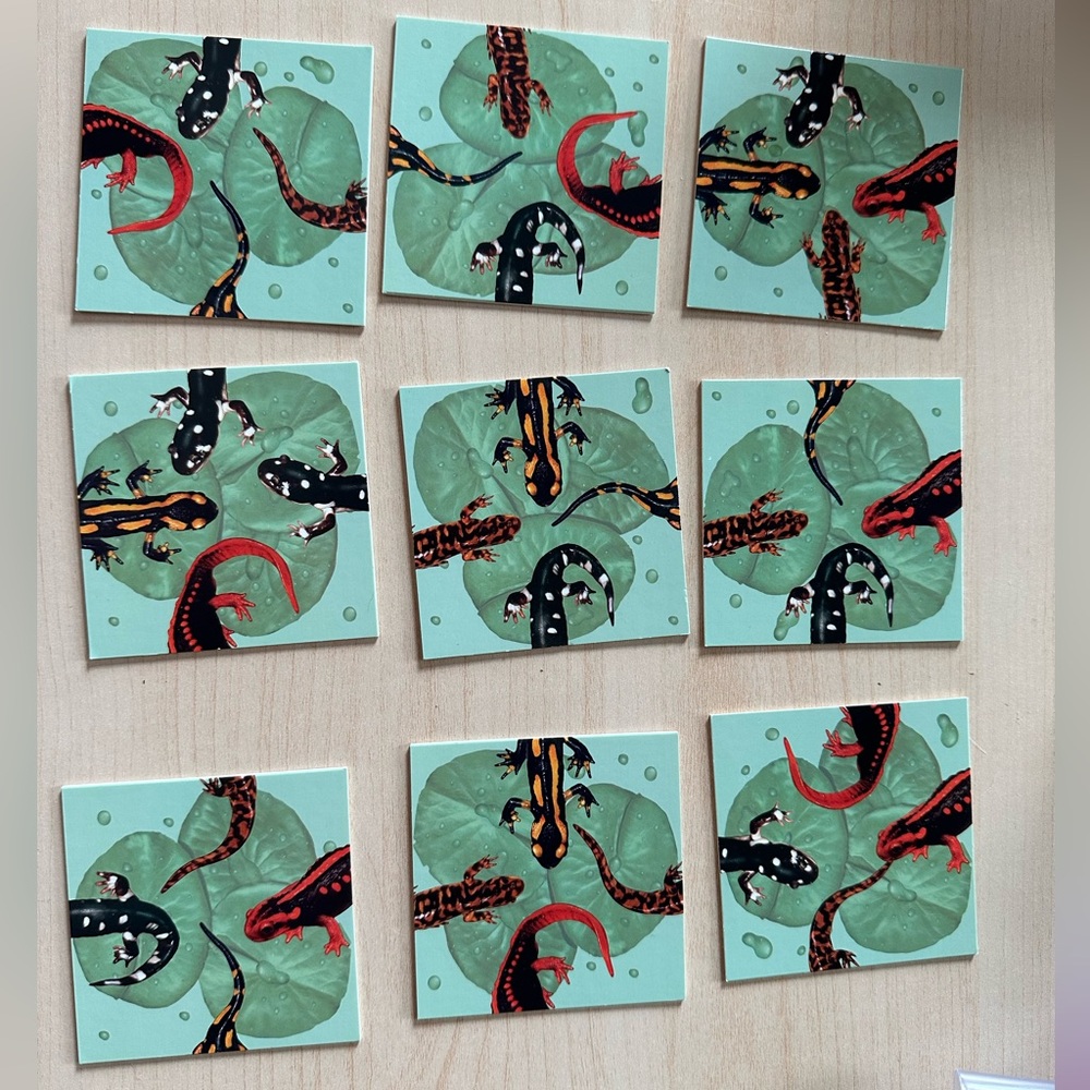 3/$20 -- Mindware Squzzle 3x3 Puzzle - Geckos - GUC